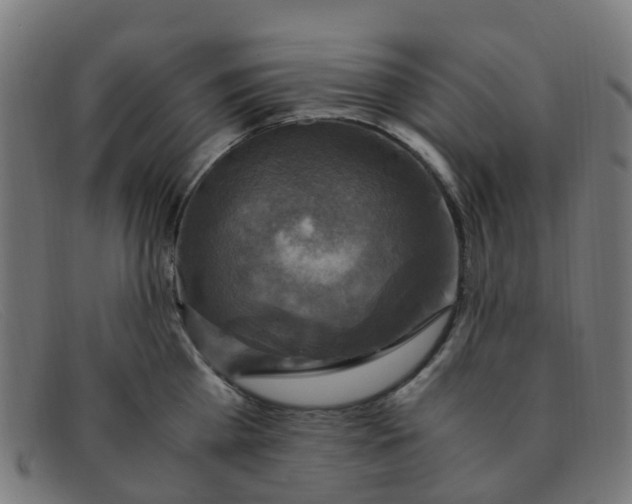 X0000091500809200709131849