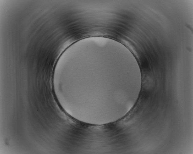 X0000091500810200709131849