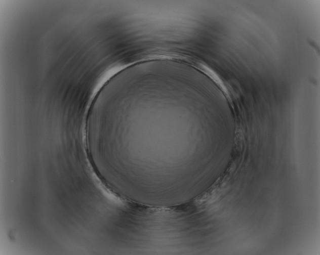 X0000091500811200709131849