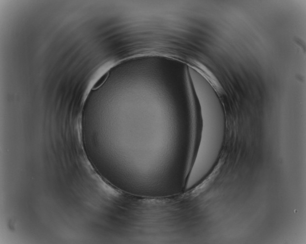 X0000091500812200709131849