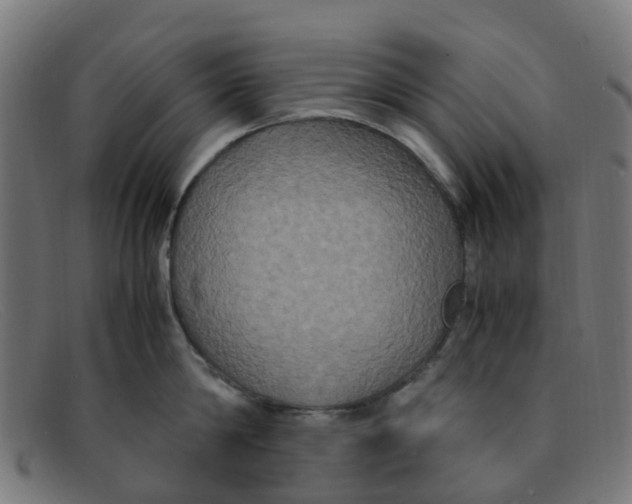 X0000091500814200709131849