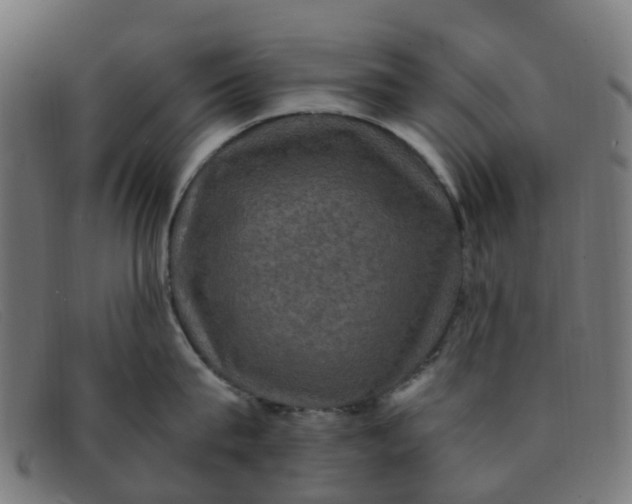 X0000091500815200709131849