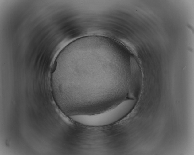 X0000091500816200709131849