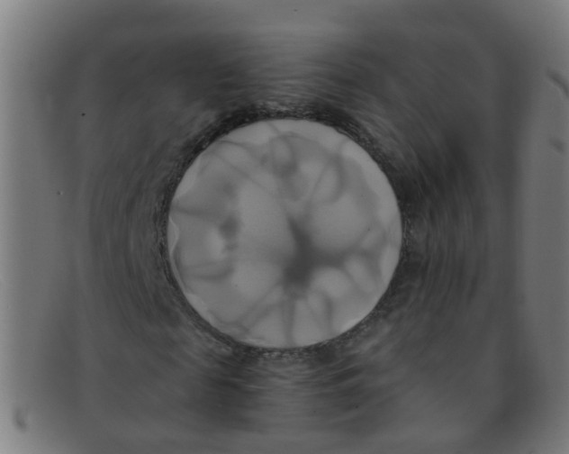 X0000091500817200709131848