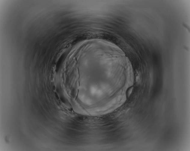 X0000091500819200709131848