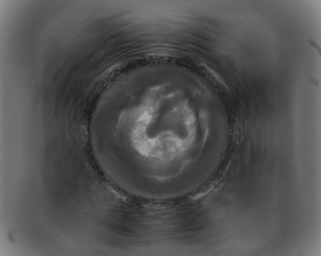 X0000091500821200709131848