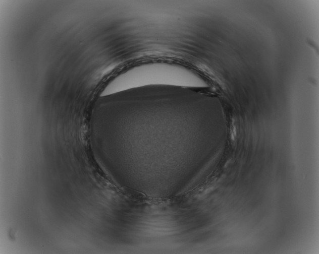 X0000091500822200709131848