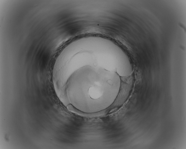 X0000091500824200709131848