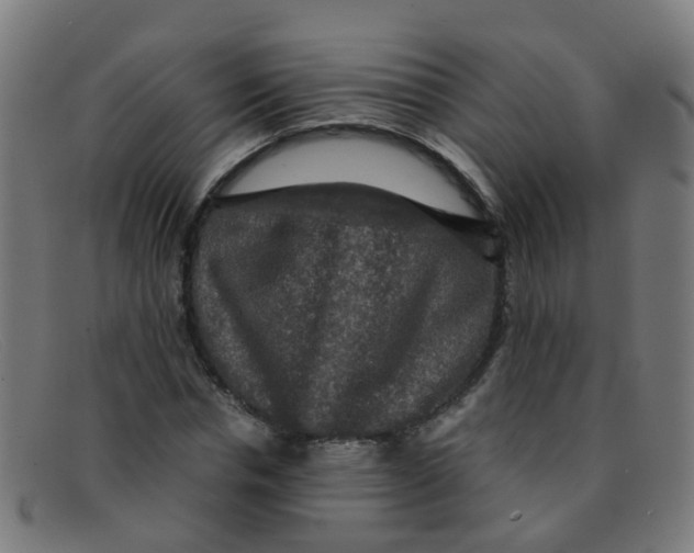 X0000091500826200709131848