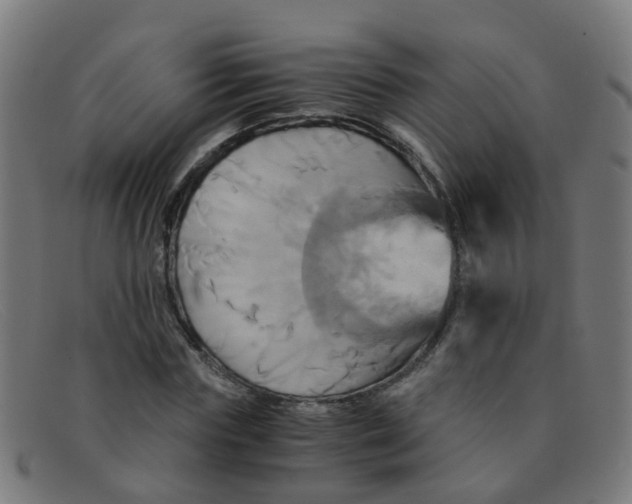 X0000091500827200709131848