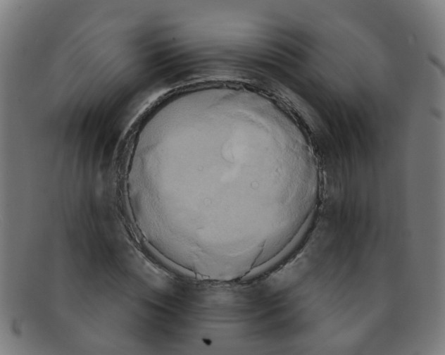 X0000091500828200709131848