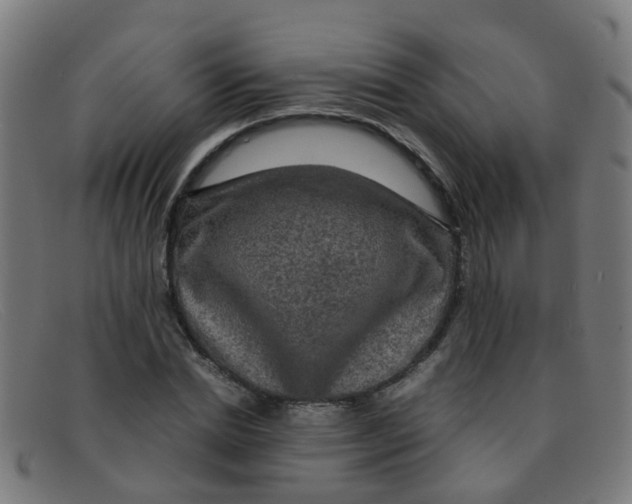 X0000091500830200709131848