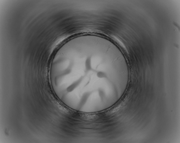 X0000091500831200709131848