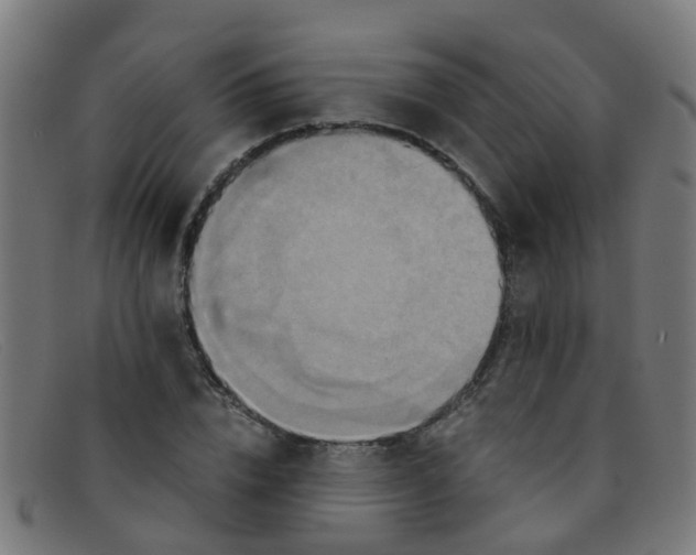 X0000091500832200709131848