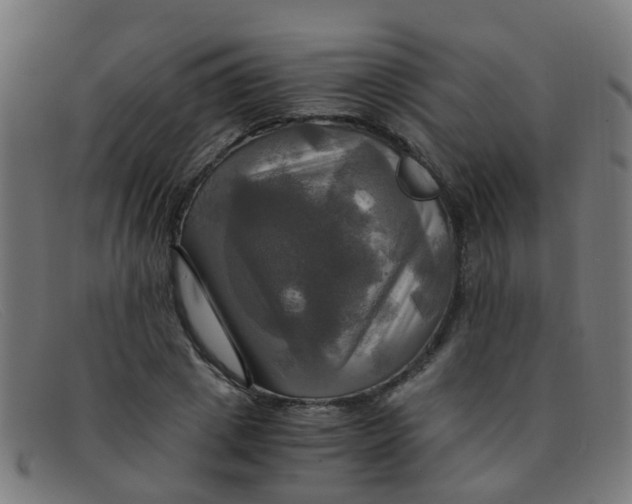 X0000091500833200709131848