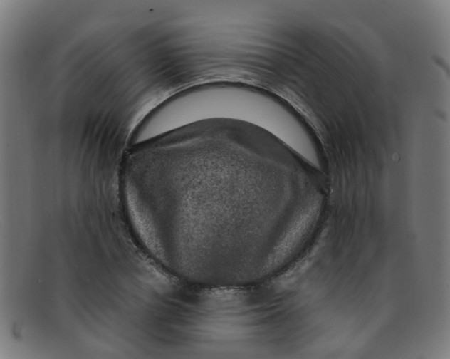 X0000091500834200709131848