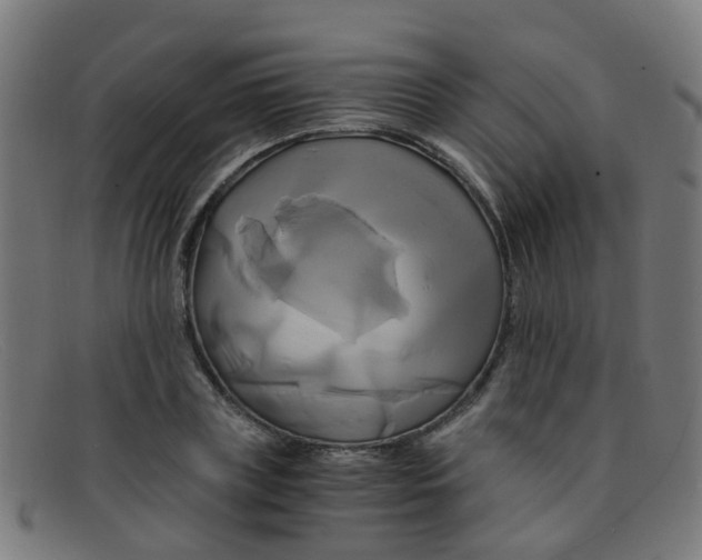 X0000091500835200709131848