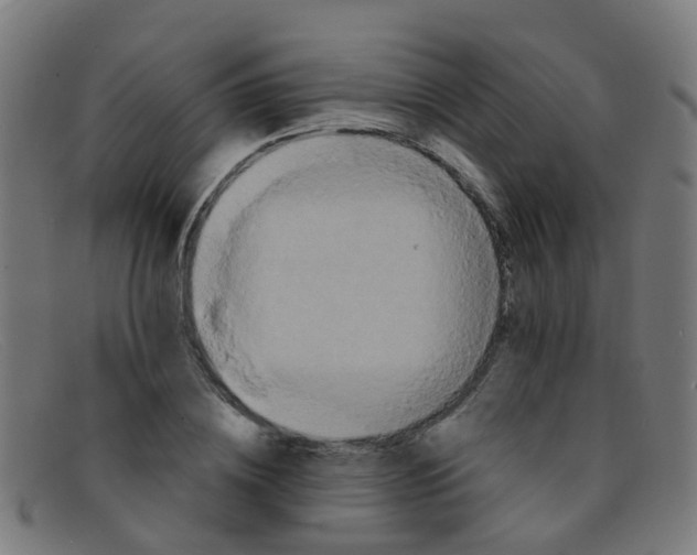 X0000091500836200709131848