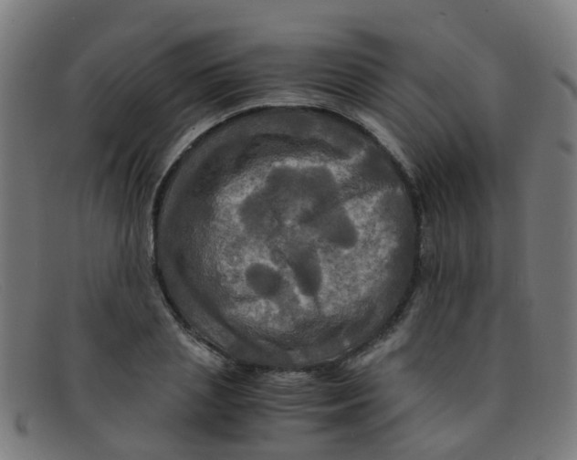 X0000091500837200709131849