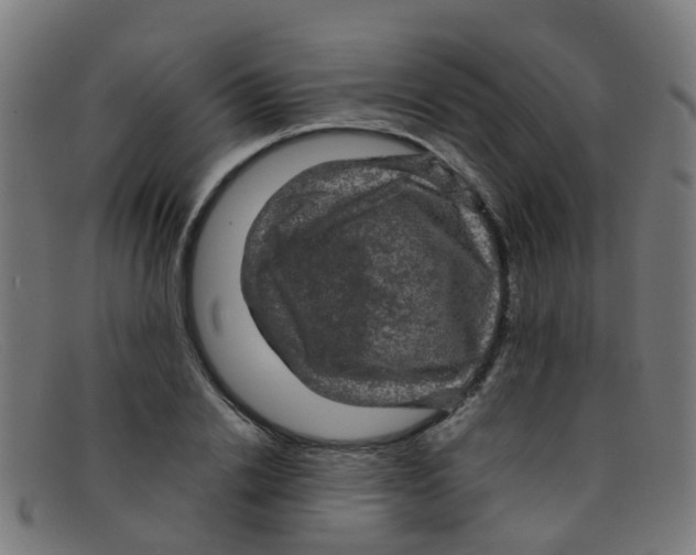 X0000091500838200709131849