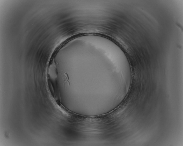 X0000091500840200709131849