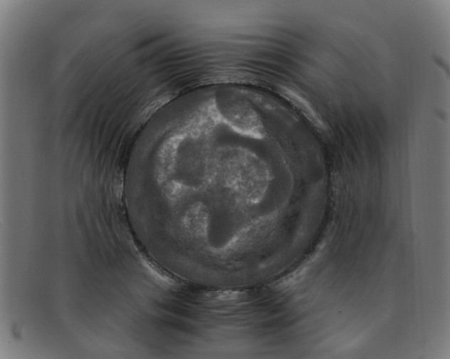 X0000091500841200709131849