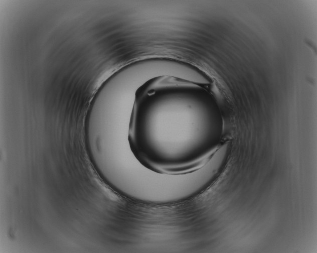 X0000091500842200709131849