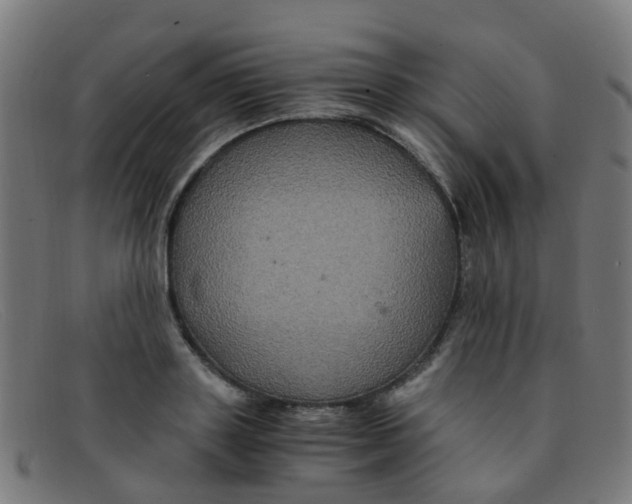 X0000091500843200709131849