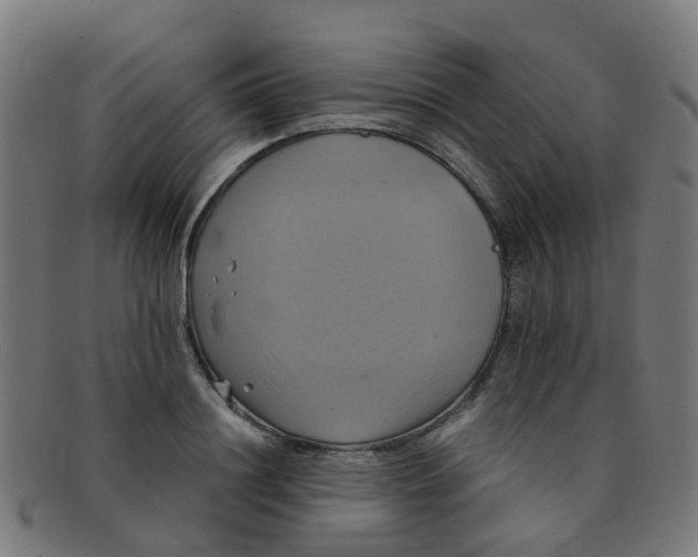 X0000091500844200709131849