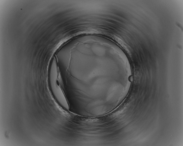 X0000091500845200709131849