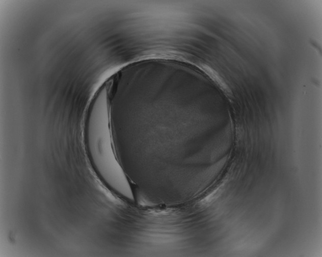 X0000091500846200709131849