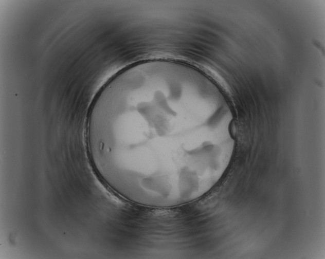 X0000091500847200709131849