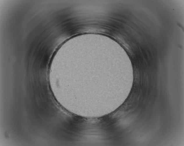 X0000091500848200709131849