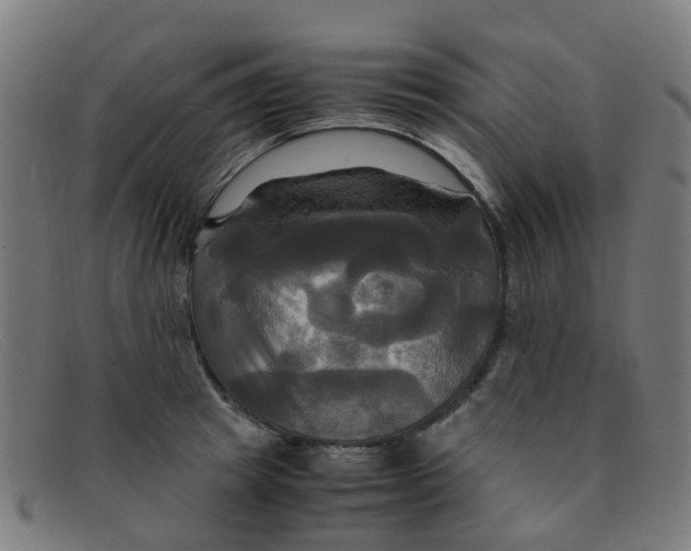 X0000091500849200709131849