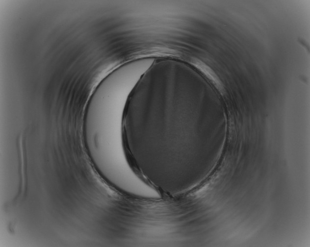 X0000091500850200709131849