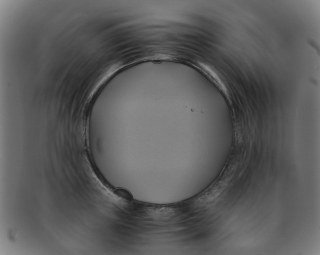 X0000091500851200709131849