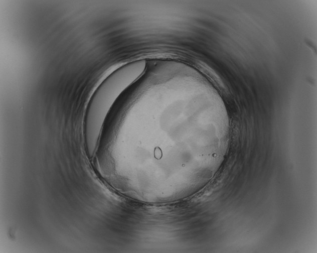 X0000091500852200709131849