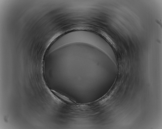 X0000091500853200709131849