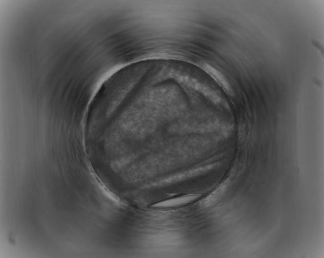 X0000091500854200709131849