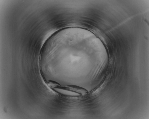 X0000091500855200709131849