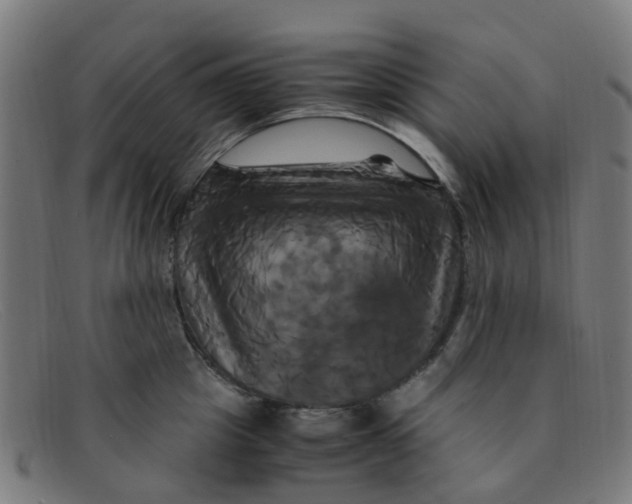 X0000091500857200709131849