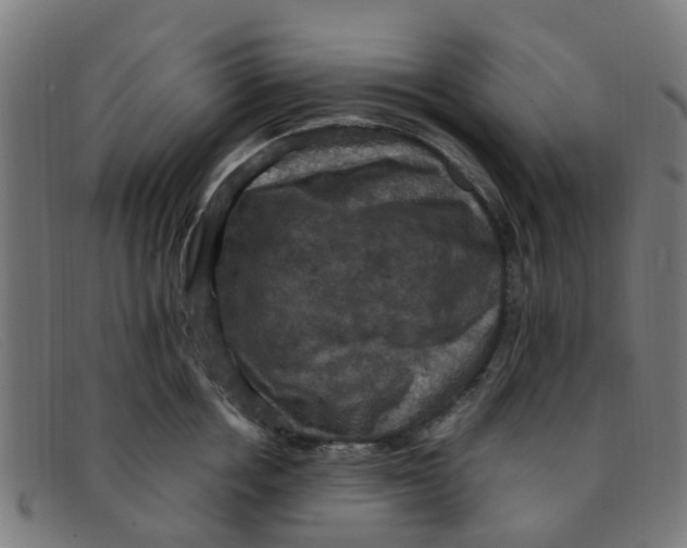 X0000091500858200709131849