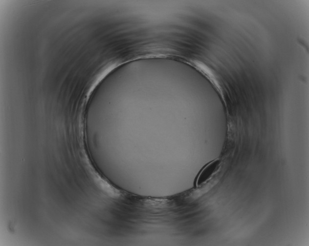 X0000091500859200709131849