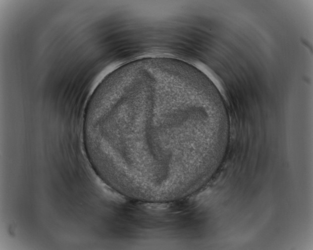 X0000091500861200709131849