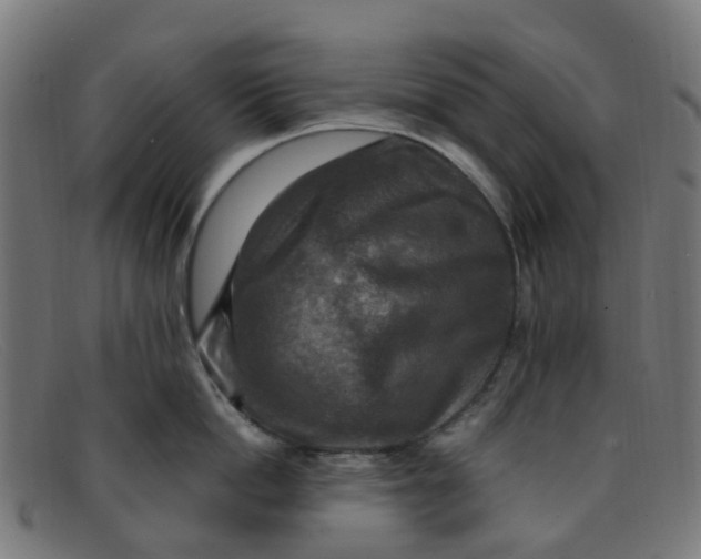 X0000091500862200709131849