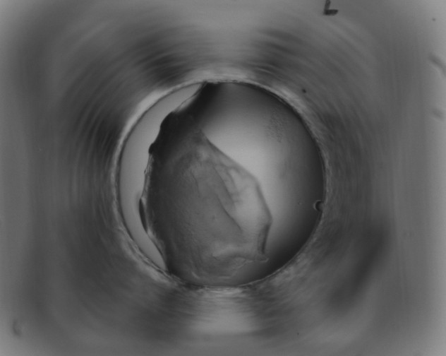 X0000091500864200709131849