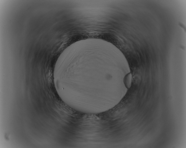 X0000091500866200709131848