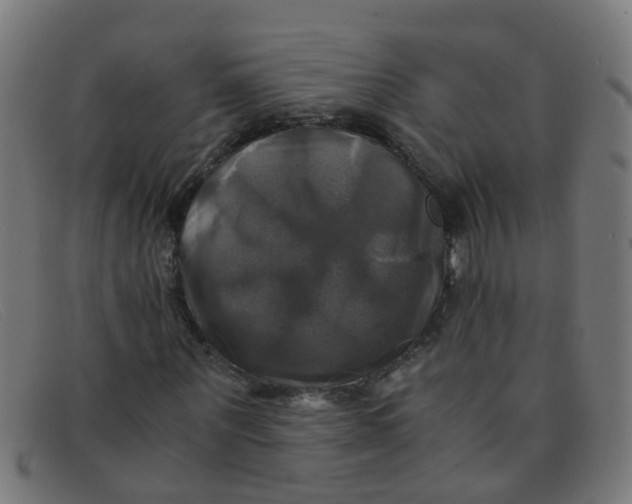 X0000091500867200709131848