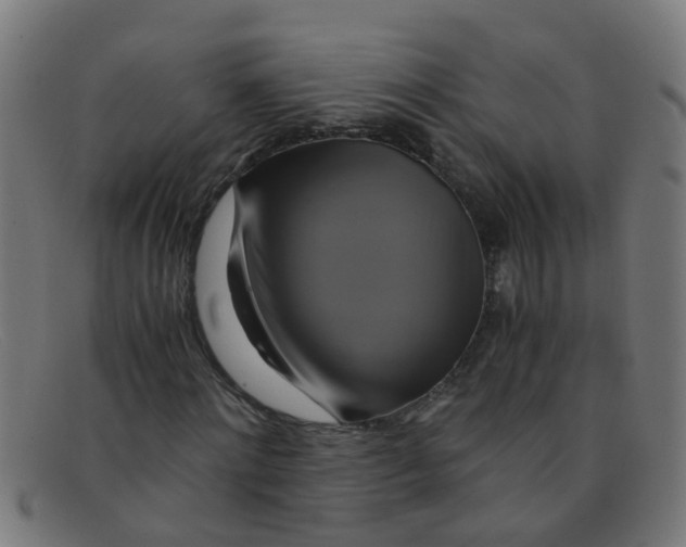 X0000091500868200709131848