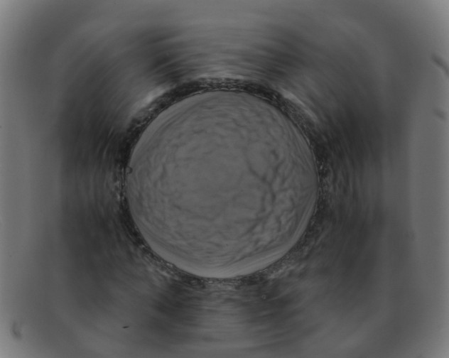 X0000091500870200709131848